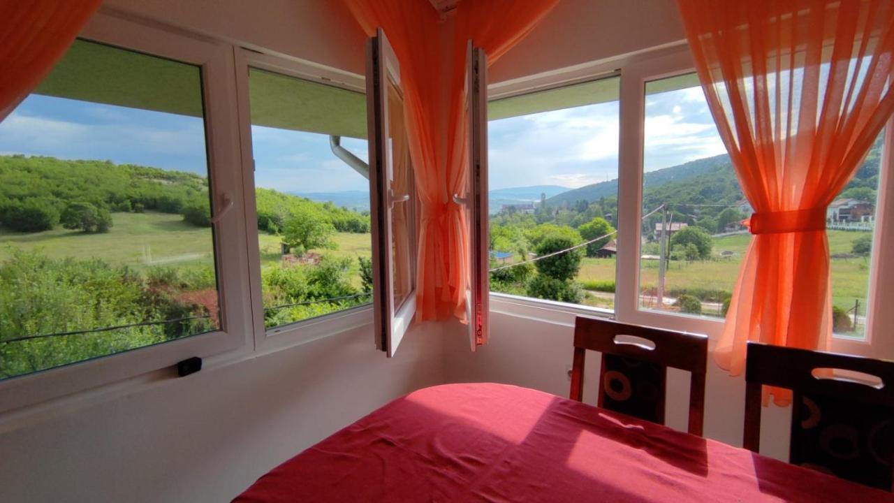 Apartment Pavlovic Sokobanja Kültér fotó