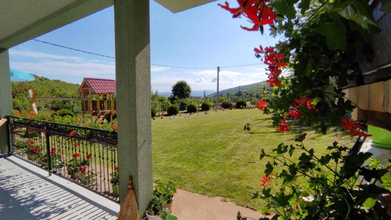 Apartment Pavlovic Sokobanja Kültér fotó