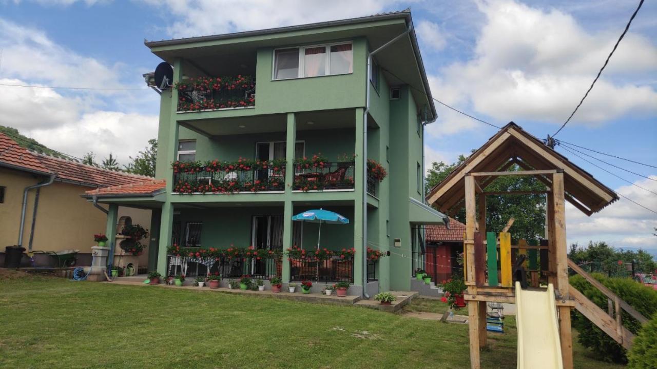 Apartment Pavlovic Sokobanja Kültér fotó