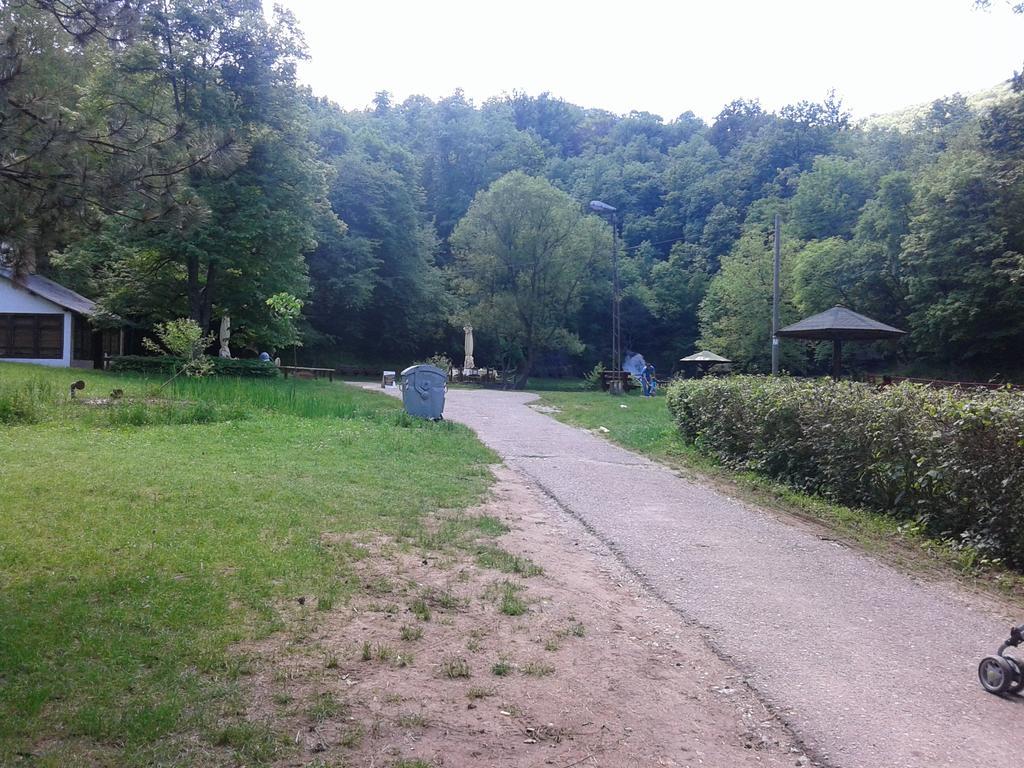 Apartment Pavlovic Sokobanja Kültér fotó