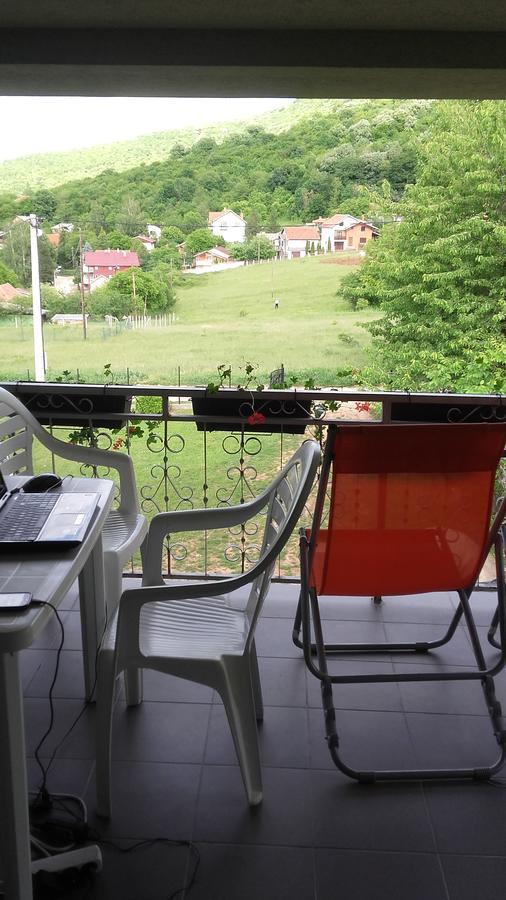 Apartment Pavlovic Sokobanja Kültér fotó