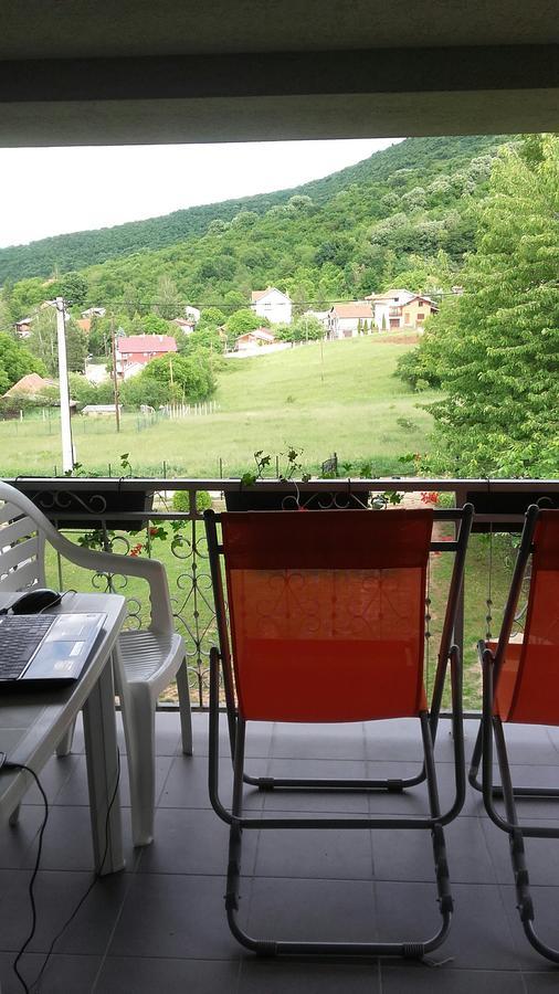 Apartment Pavlovic Sokobanja Kültér fotó