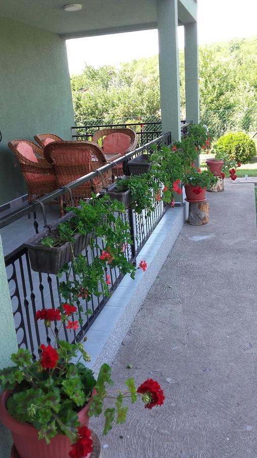 Apartment Pavlovic Sokobanja Kültér fotó