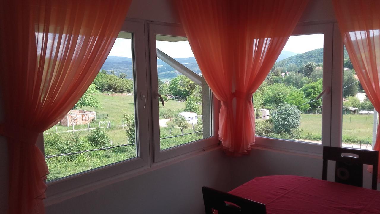 Apartment Pavlovic Sokobanja Kültér fotó